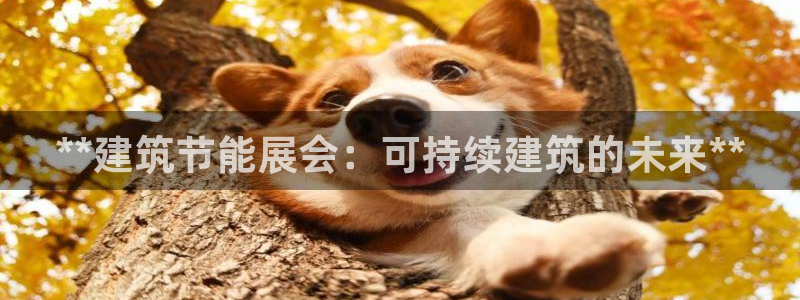 e尊国际7779：**建筑节能展会：可持续建筑的未来**