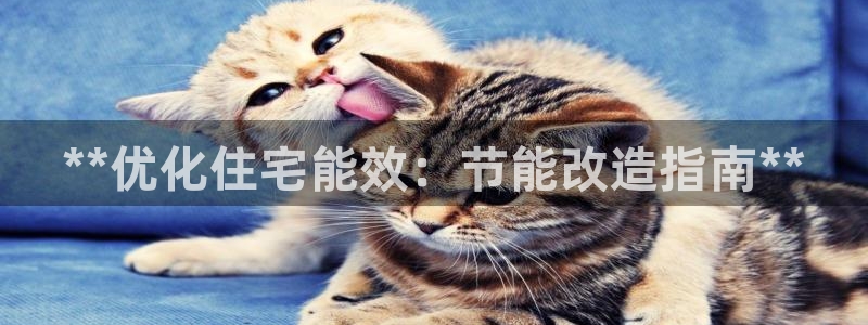 e尊国际平台：**优化住宅能效：节能改造指南**