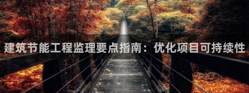 e尊平台：建筑节能工程监理要点指南：优化项目可持续性