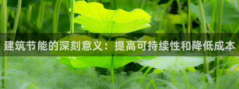 e尊国际平台：建筑节能的深刻意义：提高可持续性和降低成本