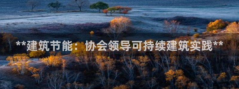 E尊国际网站：**建筑节能：协会领导可持续建筑实践**