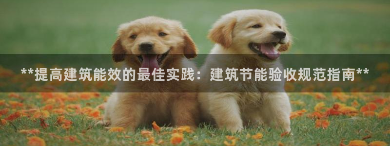 e尊国际官网·网址：**提高建筑能效的最佳实践：建筑节能验收规范指南**