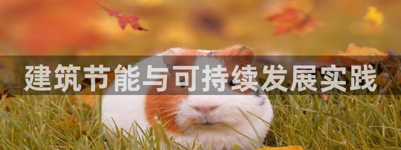 e尊国际平台：建筑节能与可持续发展实践