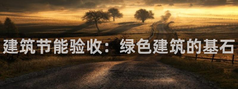 e尊国际平台：建筑节能验收：绿色建筑的基石