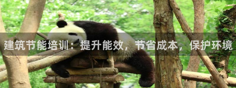 e尊国际-可可计划：建筑节能培训：提升能效，节省成本，保护环境