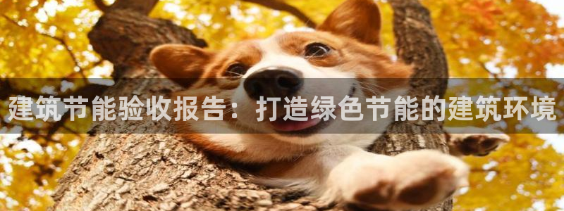 e尊国际官网app：建筑节能验收报告：打造绿色节能的建筑环境