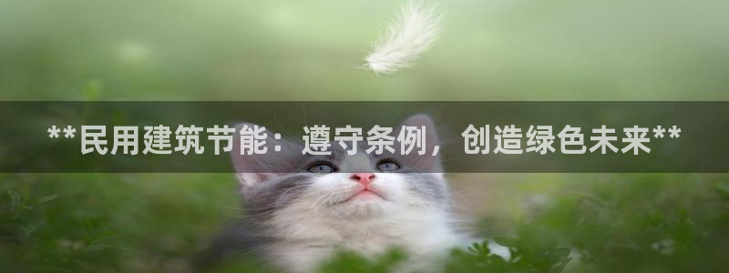 e尊国际平台：**民用建筑节能：遵守条例，创造绿色未来**