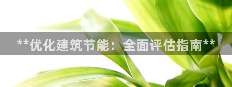 e尊国际是干什么的：**优化建筑节能：全面评估指南**
