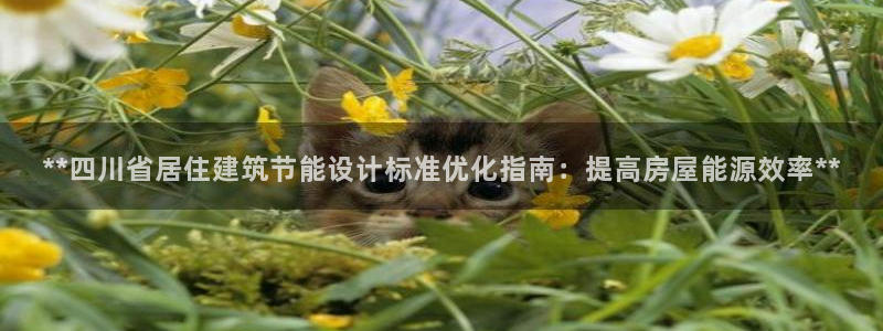 e尊国际娱乐官网地址：**四川省居住建筑节能设计标准优化指南：提高房屋能源效率**