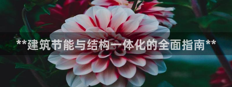 E尊国际网站：**建筑节能与结构一体化的全面指南**