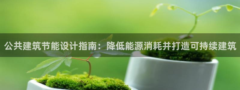 E尊国际网站：公共建筑节能设计指南：降低能源消耗并打造可持续建筑