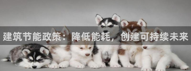 e尊国际平台：建筑节能政策：降低能耗，创建可持续未来