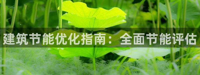e尊官网：建筑节能优化指南：全面节能评估