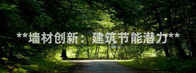 e尊国际的手机登录网站：**墙材创新：建筑节能潜力**