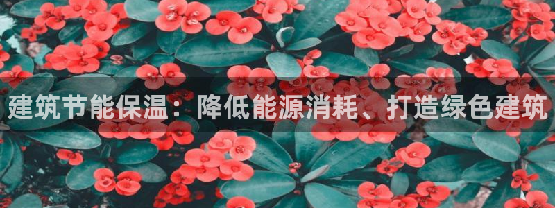 e尊国际平台：建筑节能保温：降低能源消耗、打造绿色建筑