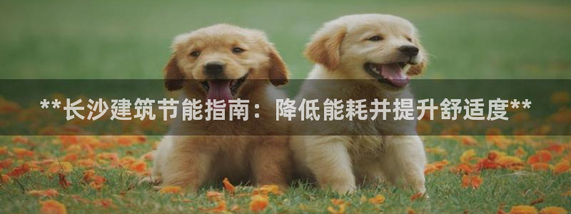 e尊国际客户端：**长沙建筑节能指南：降低能耗并提升舒适度**