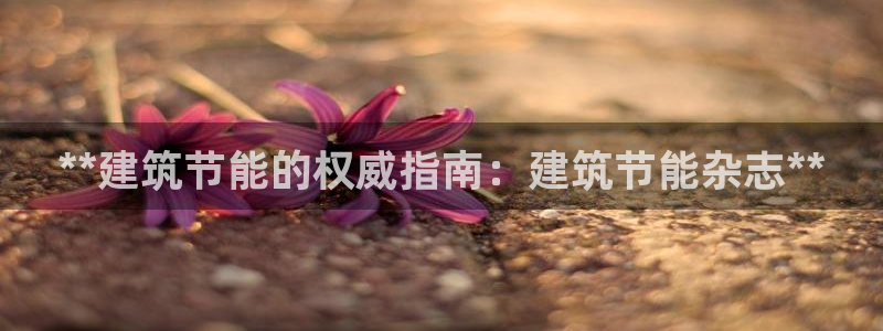 e尊国际娱乐官网地址：**建筑节能的权威指南：建筑节能杂志**