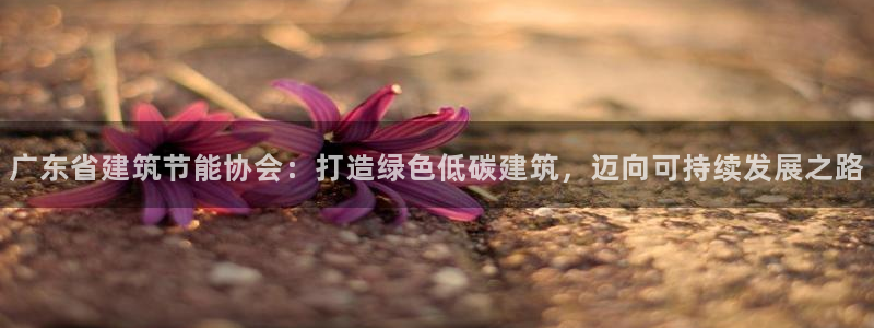 e尊国际地址：广东省建筑节能协会：打造绿色低碳建筑，迈向可持续发展之路