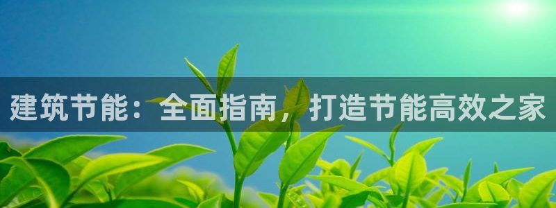e尊国际平台：建筑节能：全面指南，打造节能高效之家