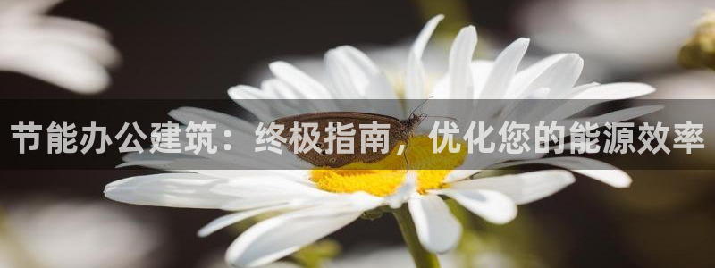 e尊国际平台：节能办公建筑：终极指南，优化您的能源效率