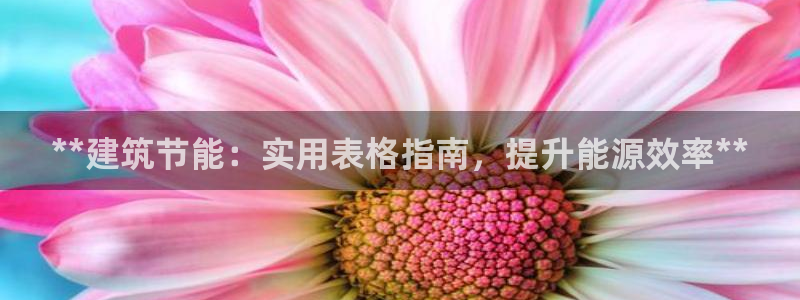 尊亿娱乐国际官网：**建筑节能：实用表格指南，提升能源效率**