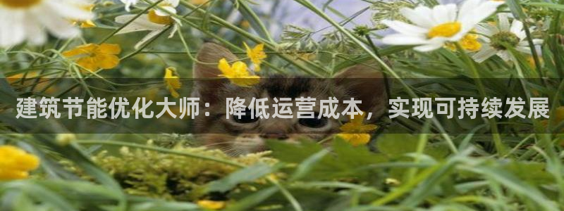 e尊电竞：建筑节能优化大师：降低运营成本，实现可持续发展