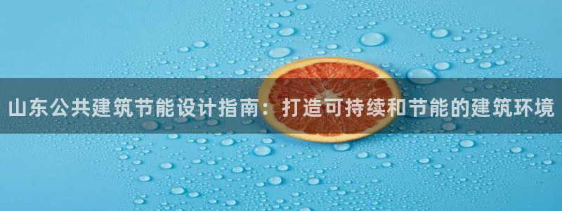 e尊国际app：山东公共建筑节能设计指南：打造可持续和节能的建筑环境