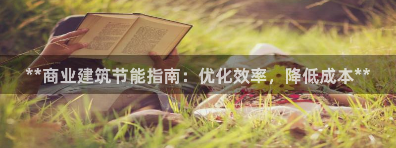 e尊平台：**商业建筑节能指南：优化效率，降低成本**