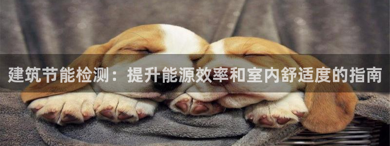 e尊国际平台：建筑节能检测：提升能源效率和室内舒适度的指南