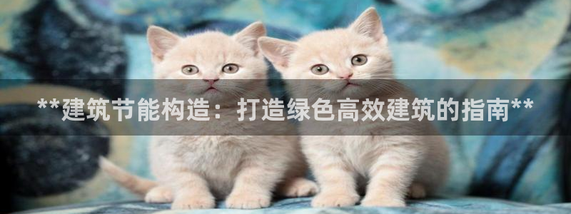 E尊国际网站：**建筑节能构造：打造绿色高效建筑的指南**