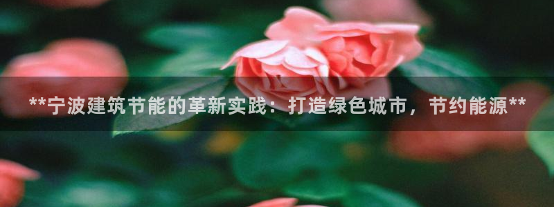 e尊国际可靠吗：**宁波建筑节能的革新实践：打造绿色城市，节约能源**
