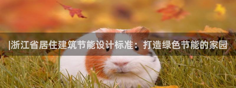 e尊国际娱乐官网下载：|浙江省居住建筑节能设计标准：打造绿色节能的家园