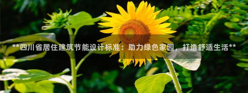 e尊国际是干什么的：**四川省居住建筑节能设计标准：助力绿色家园，打造舒适生活**
