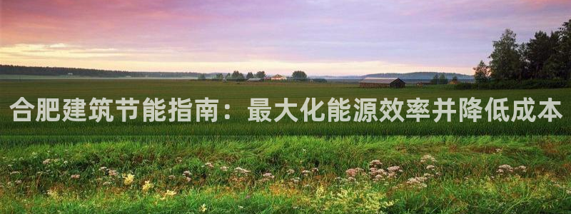 e尊国际网址：合肥建筑节能指南：最大化能源效率并降低成本