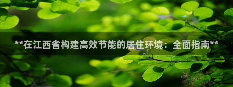 谁知道e尊国际的网址：**在江西省构建高效节能的居住环境：全面指南**
