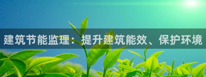 e尊国际的手机登录网站：建筑节能监理：提升建筑能效、保护环境