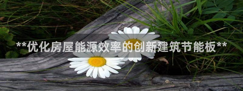 e尊国际官方网站：**优化房屋能源效率的创新建筑节能板**
