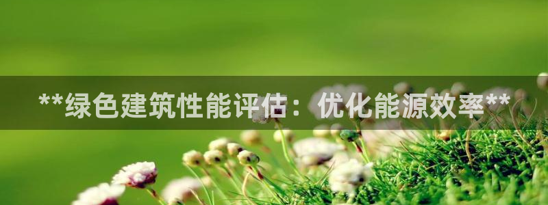 谁知道e尊国际的网址：**绿色建筑性能评估：优化能源效率**