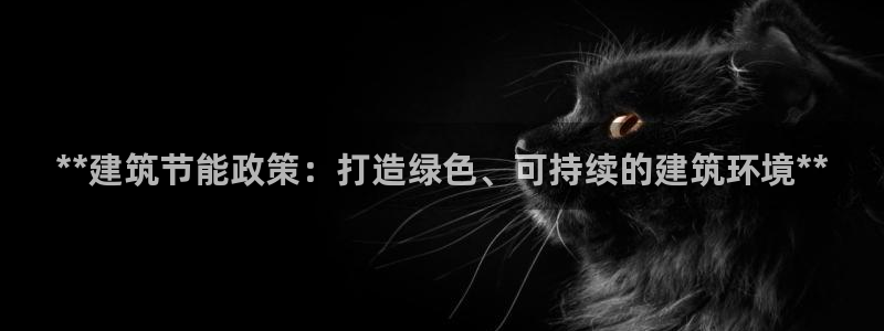 E尊国际网站：**建筑节能政策：打造绿色、可持续的建筑环境**