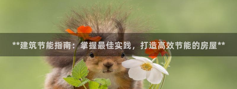 e尊国际官网·网址：**建筑节能指南：掌握最佳实践，打造高效节能的房屋**