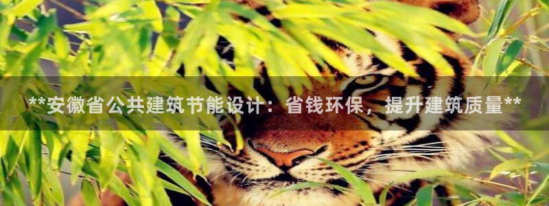 e尊官网：**安徽省公共建筑节能设计：省钱环保，提升建筑质量**