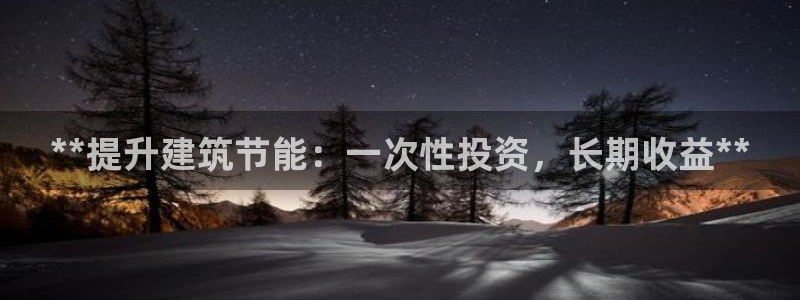 E尊国际网站：**提升建筑节能：一次性投资，长期收益**