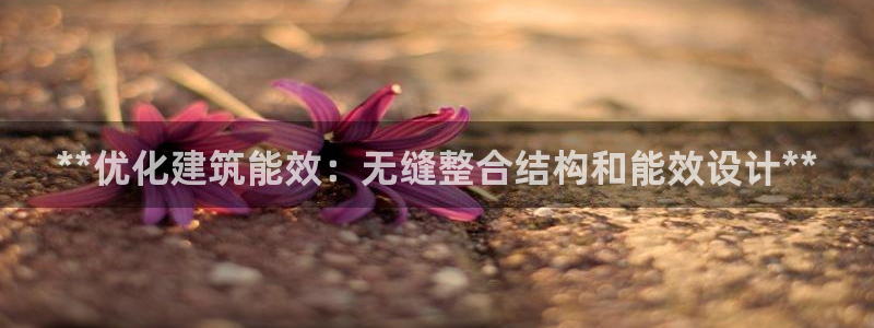e尊体育：**优化建筑能效：无缝整合结构和能效设计**