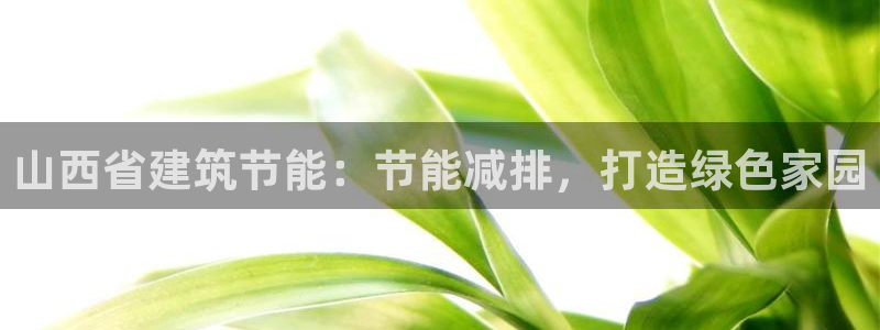 e尊国际是干什么的：山西省建筑节能：节能减排，打造绿色家园
