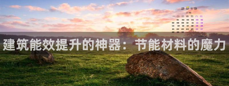 e尊国际是干什么的：建筑能效提升的神器：节能材料的魔力