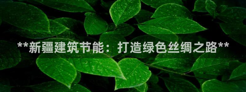 e尊国际平台：**新疆建筑节能：打造绿色丝绸之路**
