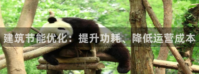 e尊国际是干什么的：建筑节能优化：提升功耗、降低运营成本