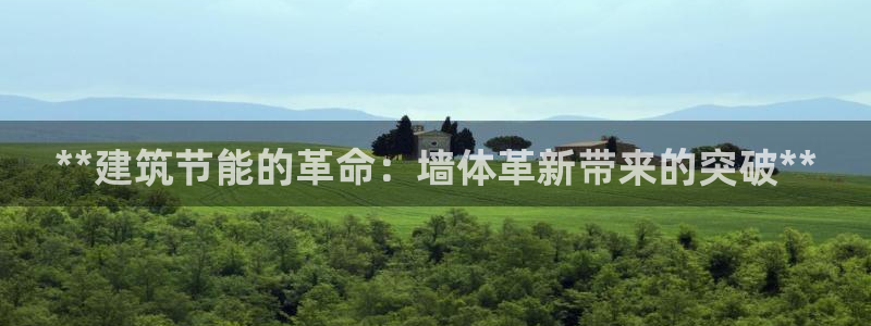 e尊国际网址：**建筑节能的革命：墙体革新带来的突破**