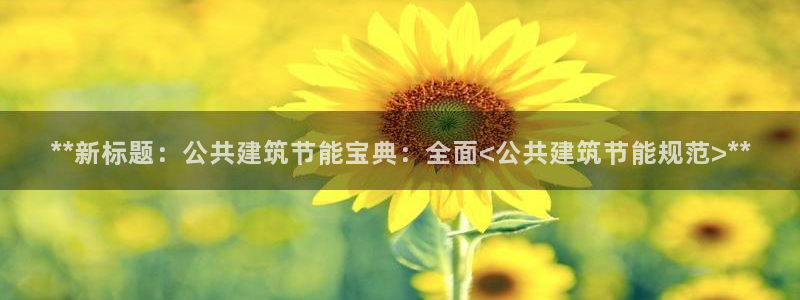 e尊国际官方网站：**新标题：公共建筑节能宝典：全面<公共建筑节能规范>**