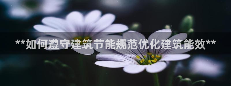e尊国际客服：**如何遵守建筑节能规范优化建筑能效**